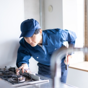 Oven, Toaster & Grill Cleaning