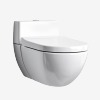 Western Toilet Wall Mounted
